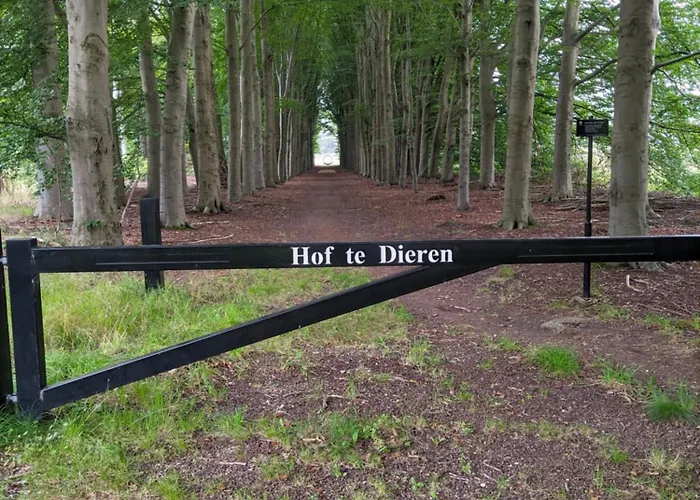 Benvenuto Bed & Breakfast